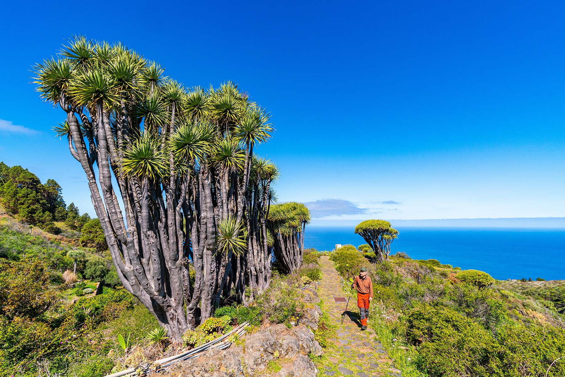 You are currently viewing Magazin Wanderlust: Touren auf der Insel La Palma